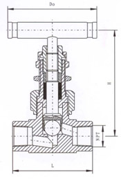 SS-12NBF8美标内螺纹针型阀