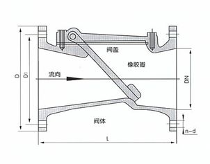 H44X(SFCV)型橡胶瓣止回阀